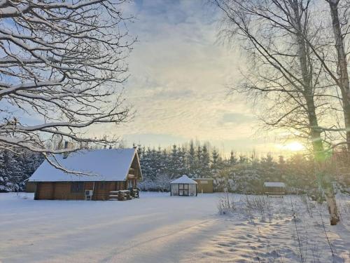 Cottage with fenced yard, sauna, 10 min to Pärnu center