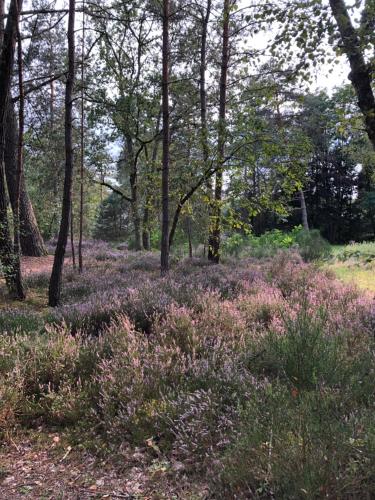 Chambres au coeur du Massif des Trois Pignons in Noisy-sur-Ecole