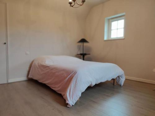 Maison familiale 13 p à 100m de la plage Ralévy