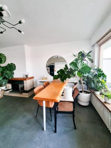 Furnished - Bright, Modern apartment in Brussels, 15 minutes walk from the Atomium