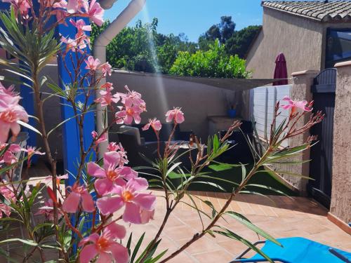 Holiday Home image 1