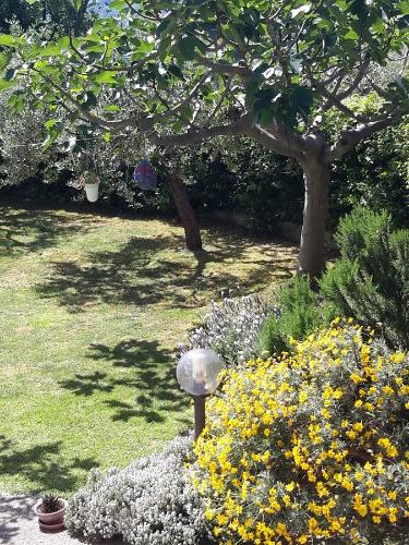 B&B L'Albero Di Antonia - 전망