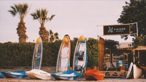 Viajero Paracas Hostel - 액티비티