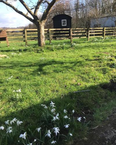 Hexhamshire Shepherd Hut in Hexham