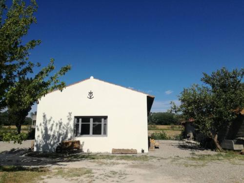 Propriete d'une chambre avec piscine partagee et wifi a Saint Gilles - Location saisonnière - Saint-Gilles