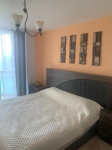BeachFront Luxurious, Direct Ocean View - LaPerla, Miami in Sunny Isles Beach, USA