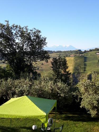 B&B L'Albero Di Antonia - 정원