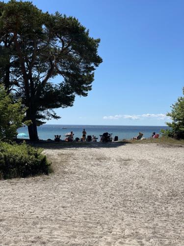 Hanöhus