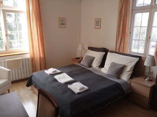 Hotel Villa Ostrava 3+ - image 6