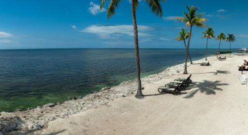 Caloosa Cove Resort by CoolVacay - 주변 환경