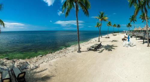 Caloosa Cove Resort by CoolVacay - 주변 환경