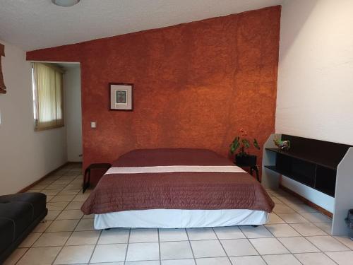 COLIVING in Cuernavaca, Mexico