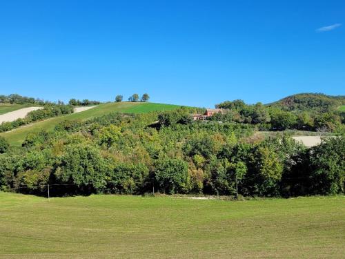 Agriturismo Merlino - Natur pur