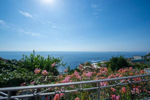 Casa Fiorellina - Apartment - Praiano