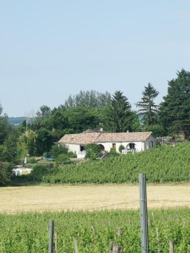 Aux vignes d’Arnaud - Chambre d'hôtes - Loubès-Bernac