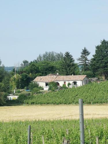 Aux vignes d’Arnaud chambre d'hôte Villeneuve-de-Duras