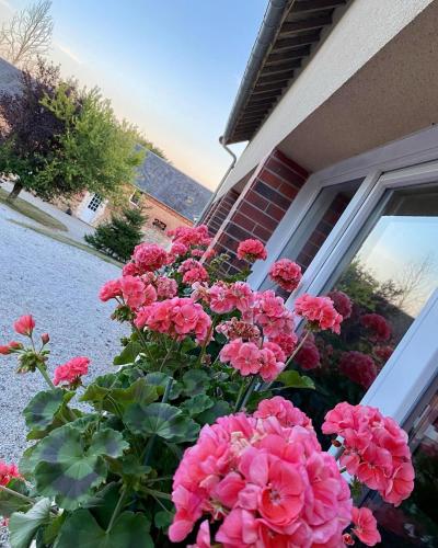 Gîte Gold au Domaine de Saint Vigor - Location saisonnière - Carentan-les-Marais