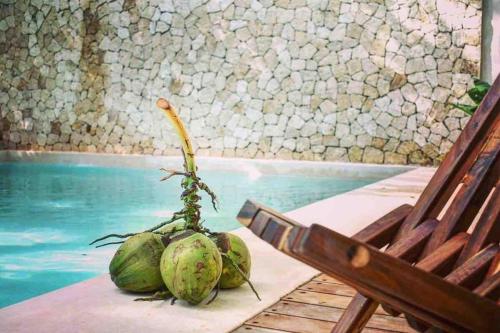Tropical Oasis in Holistika Tulum with Pool, Tulum