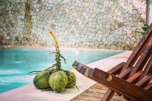 Tropical Oasis in Holistika Tulum with Pool