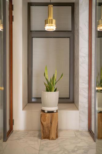 Gangnam Boutique Hotel Sohsul, Soul (fotografie 5)
