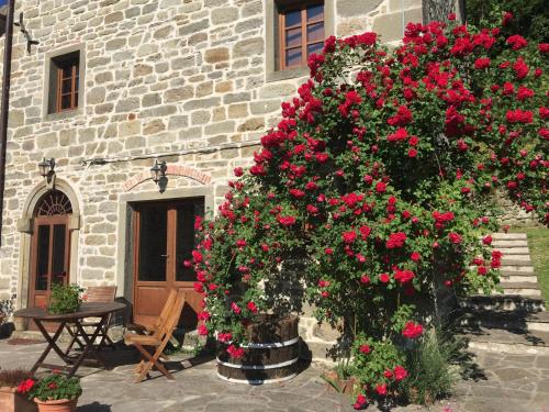 比奥伊尔维尼欧农庄酒店