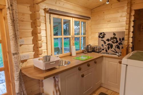 Family friendly sunny Log Cabin in Holt (Dorset)