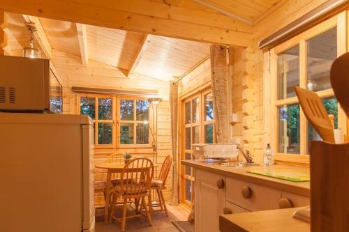 Family friendly sunny Log Cabin in Holt (Dorset)