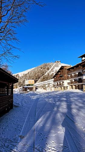 Nel cuore dell’Oasi Zegna in Bielmonte