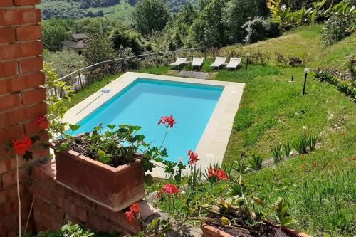 . One bedroom appartement with shared pool and wifi at Rignano sull'Arno