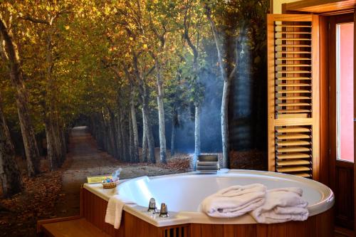 Pezsgőfürdő, Hotel De Martin in El Escorial