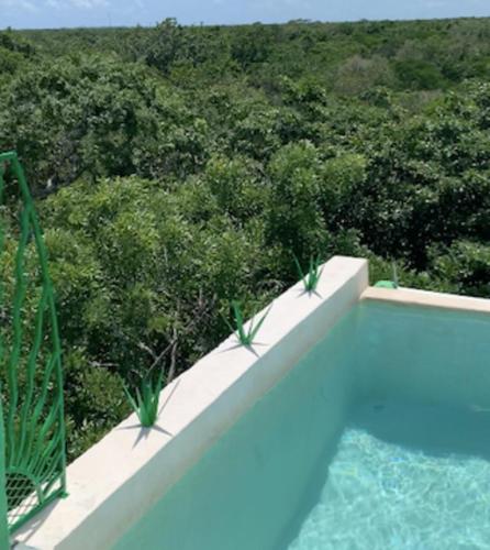 Kilátás, Studio with swimming pool at 12 m height over jungle in Chemuyil