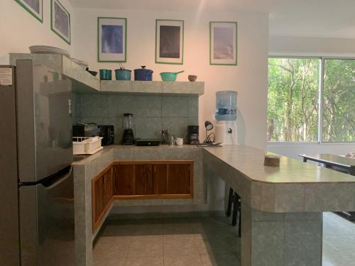 Studio with swimming pool at 12 m height over jungle in Chemuyil