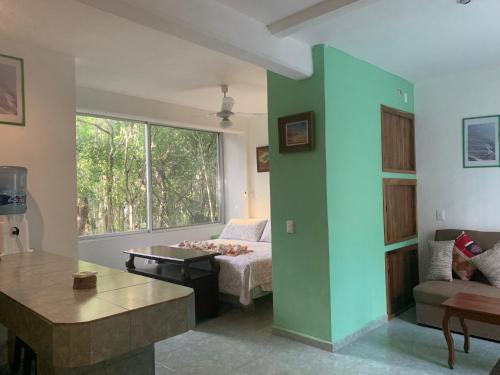 Studio with swimming pool at 12 m height over jungle, Chemuyil