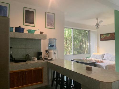 Studio with swimming pool at 12 m height over jungle in Chemuyil