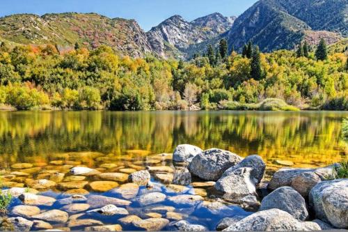 Lady Madonna Citra Flat near Tracy Aviary