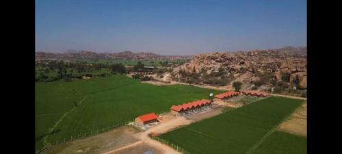 Osho Organic Resort Hampi in Hampi