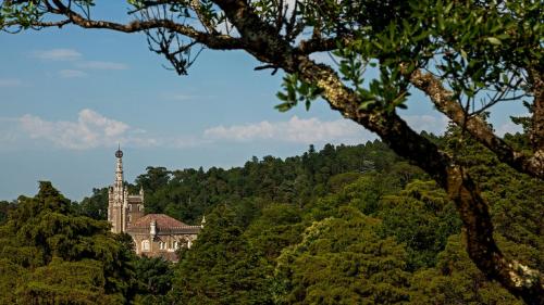 Bussaco Palace Hotel