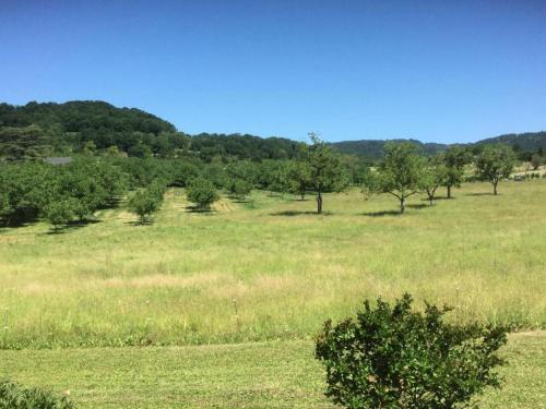 Gite de France a Saillac 2 epis - Gite de France 2 personnes MAE-6334 in Ferrand