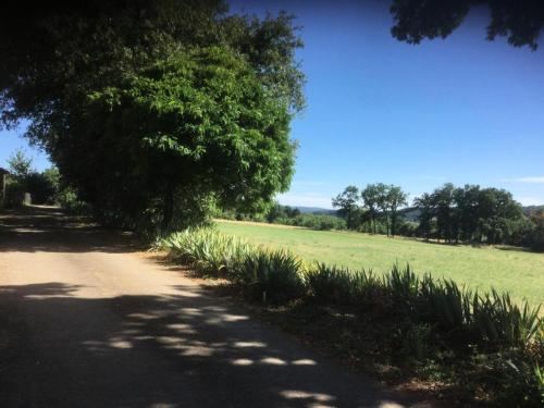 Gite de France a Saillac 2 epis - Gite de France 2 personnes MAE-6334 in Ferrand