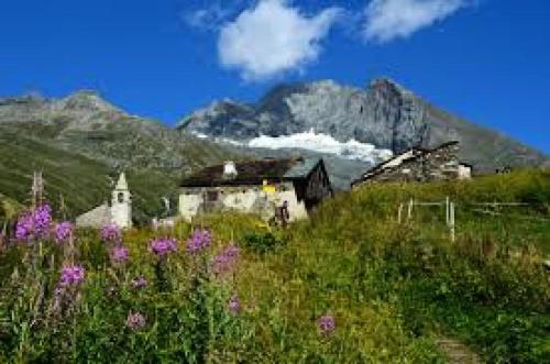 Maison 7 pièces 12 personnes centre station proche pistes 79925 - image 11