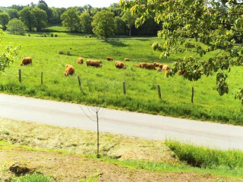 Gîte de France à Sarroux - St Julien 3 épis - Gîte de France 6 personnes 414