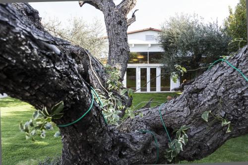 Relais Masseria Serritella – Castellana Grotte, LA