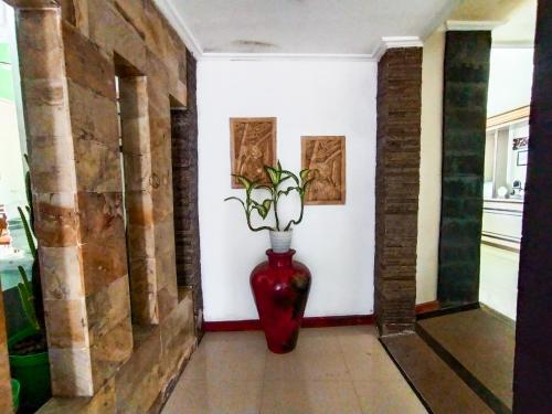 ทัศนียภาพภายนอกโรงแรม, Green Hayaq Hotel in เซลอง