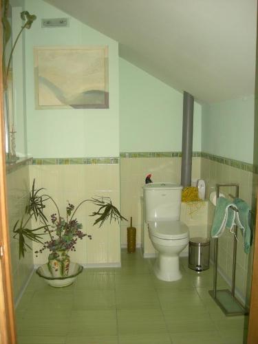 Dzintars - image 7