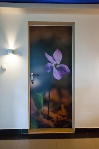 Vila Plamenac - main image