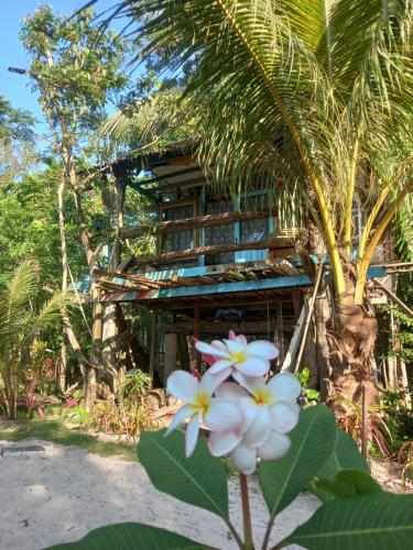 Sumatra Ecolodge Room Type - Bungalow - Beach Front