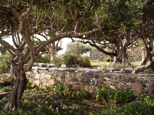 Elounda Palm Hotel & Suites - image 13