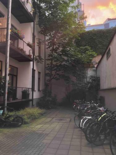 Elegant & Quiet Apartment in Historic House - Prime Location in Oslo West, Oslo (foto 7)