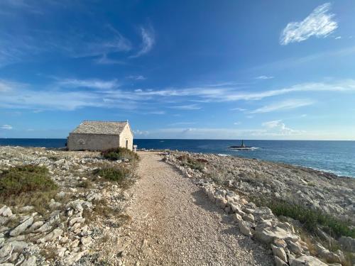 المنطقة المحيطة, The First One in روجوزنيكا