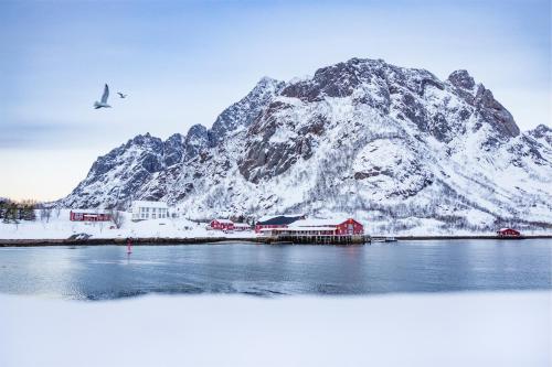 Kalle i Lofoten